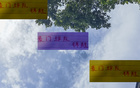 中超三強(qiáng)，國安、申花、海港，誰為豪門錦鯉？于漢超、柏楊等。