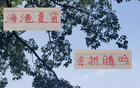 無奧斯卡，海港跌至四名，昔日霸主失色。