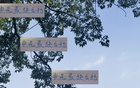 申花后勁不足，海港、國安仍有翻盤機(jī)會。