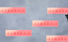 武磊傷退，海港備戰(zhàn)補賽。