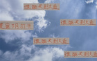 大魚浮頭，夏窗中超購人潮，申花南多，前海港奇塔。