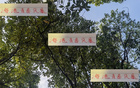 海港青春風(fēng)暴，李新翔領(lǐng)銜，大連賽進(jìn)球助攻顯身手！