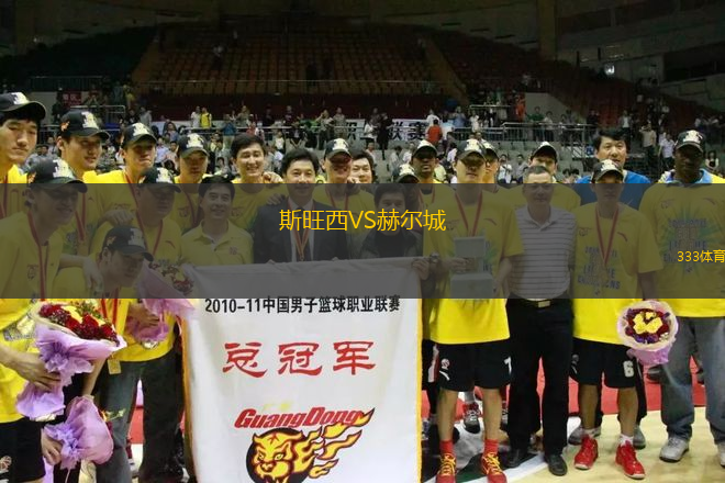 斯旺西VS赫爾城