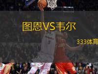 圖恩VS韋爾