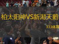 柏太陽神VS新潟天鵝