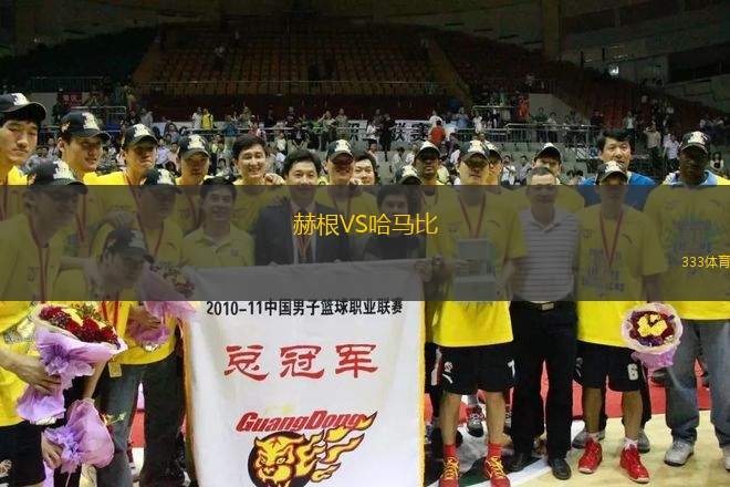 赫根VS哈馬比
