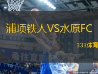 浦項鐵人VS水原FC