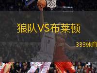狼隊VS布萊頓
