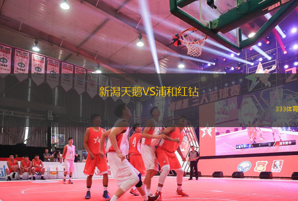 新潟天鵝VS浦和紅鉆