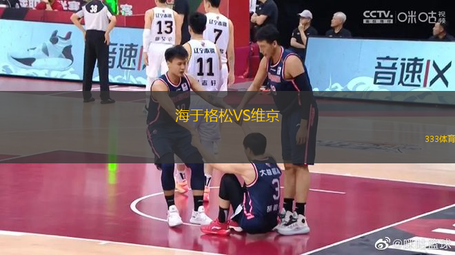 海于格松VS維京
