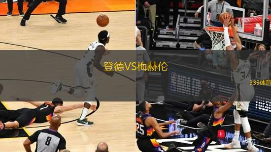 登德VS梅赫倫