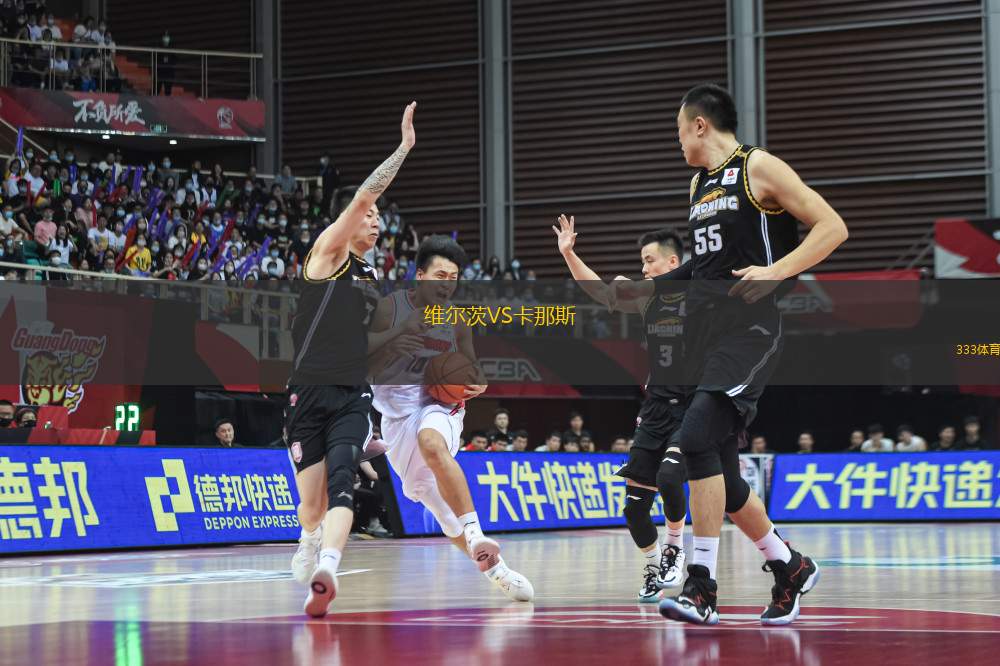 維爾茨VS卡那斯