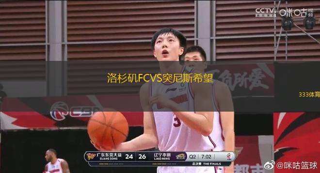 洛杉磯FCVS突尼斯希望