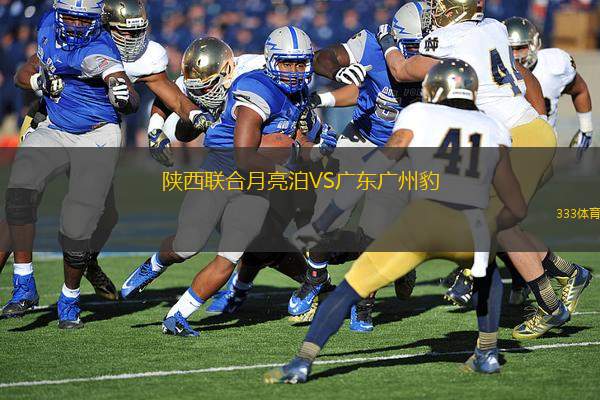 陜西聯(lián)合月亮泊VS廣東廣州豹